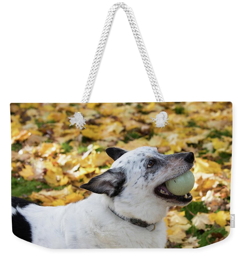 Bennu Weekender Tote Bag featuring the photograph Patrick 3A by Rebecca Cozart