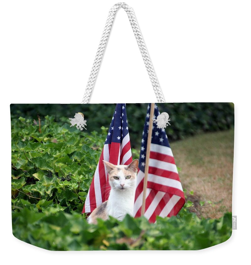 White Cat With Sandy-colored Spots Weekender Tote Bag featuring the photograph Patriotic Cat by Valerie Collins