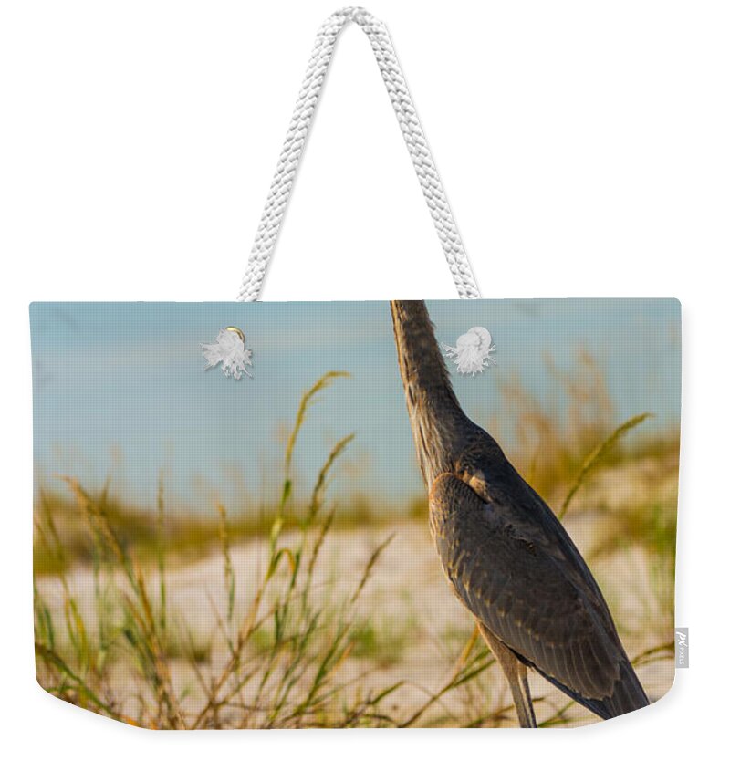 This Beautiful Bird Weekender Tote Bag featuring the photograph Peace on the Beach by Metaphor Photo