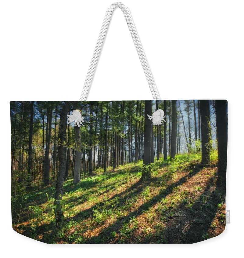 Wisconsin Landscape Weekender Tote Bag featuring the photograph Peaceful Forest 4 - Spring at Retzer Nature Center by Jennifer Rondinelli Reilly - Fine Art Photography