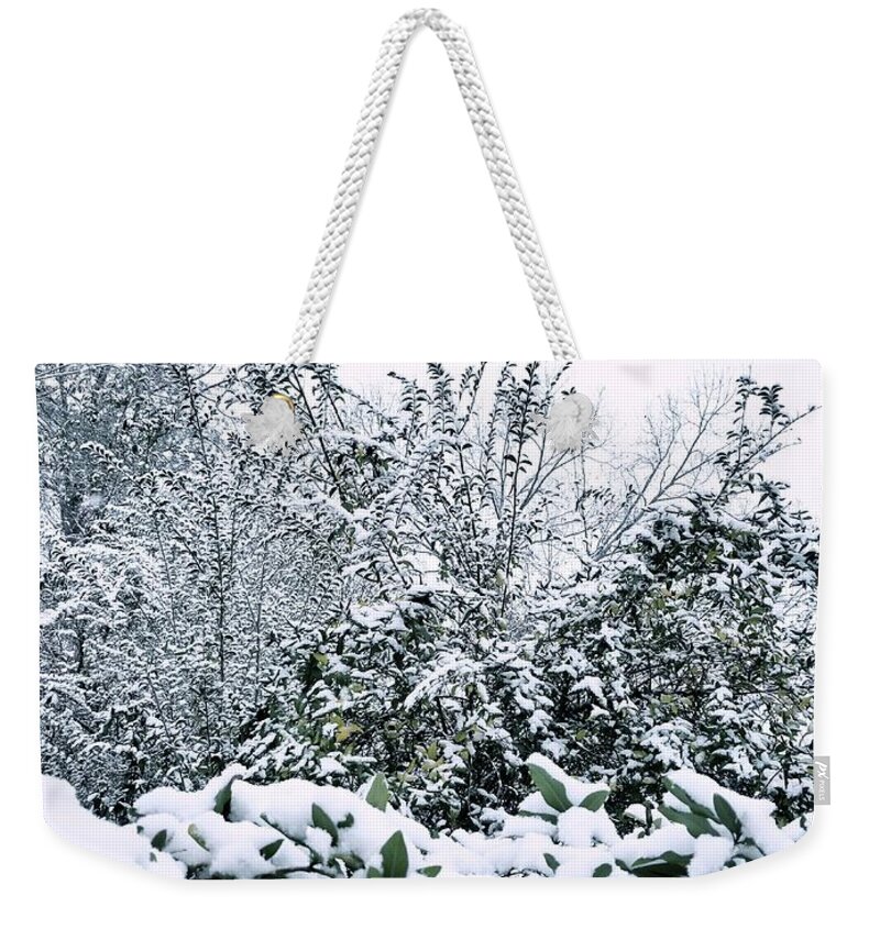 Snow Weekender Tote Bag featuring the photograph Peaceful Moment by Rachel Hannah