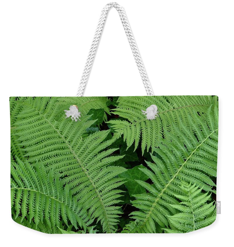 Ferns Weekender Tote Bag featuring the photograph Peaceful Places by Ira Shander