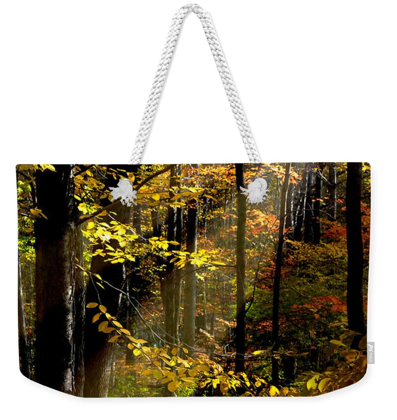 Landscape Weekender Tote Bag featuring the photograph Peaceful Guidance by Diana Angstadt