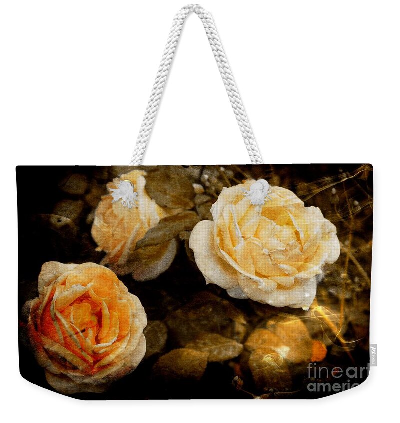 Rose Weekender Tote Bag featuring the photograph Peach Blooms by Clare Bevan
