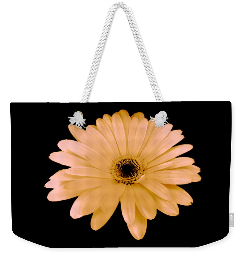 Digital Art Weekender Tote Bag featuring the digital art Peach Daisy Flower by Delynn Adams by Delynn Addams