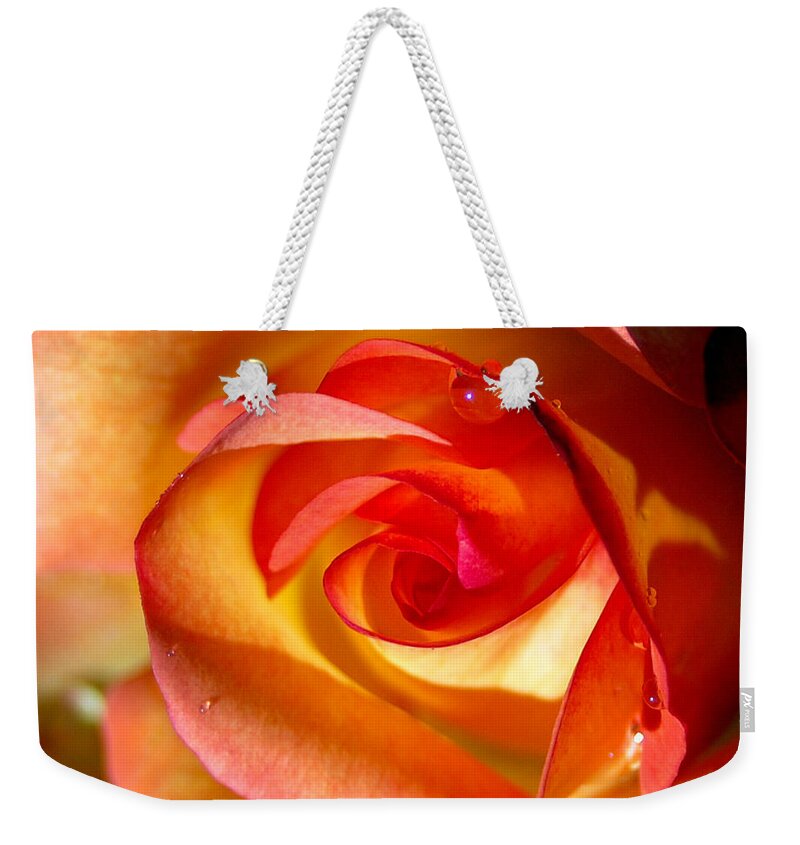 Rose Weekender Tote Bag featuring the photograph Peach Rose by Amy Fose