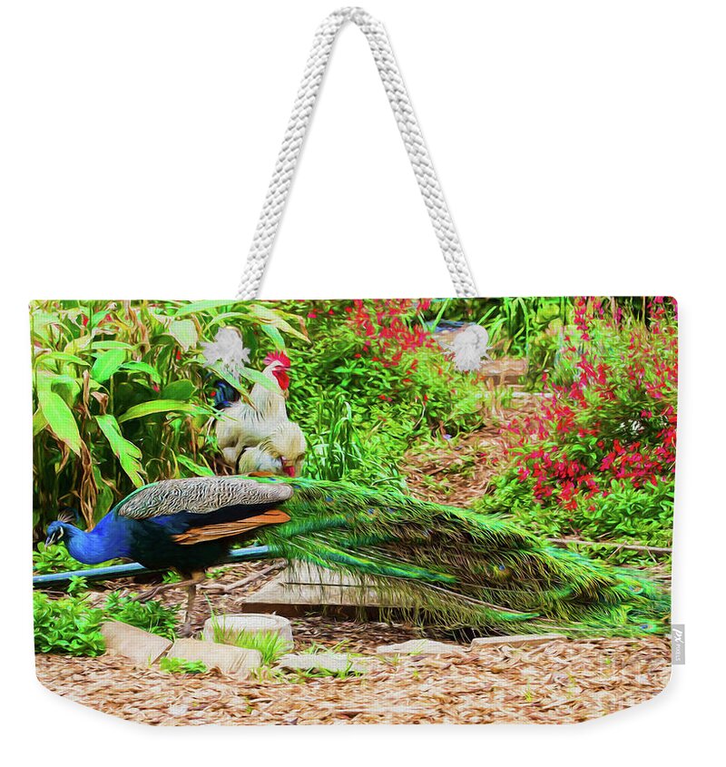 Peacock Weekender Tote Bag featuring the photograph Peacock and friends by Sheila Smart Fine Art Photography