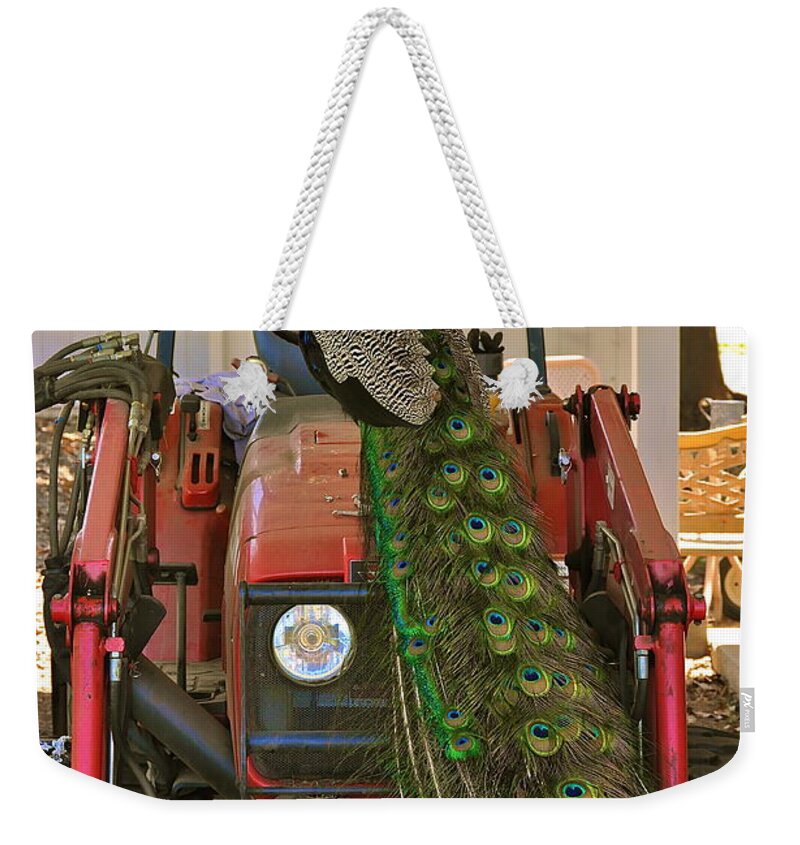 Tractor Weekender Tote Bag featuring the photograph Peacock and His Ride by Bridgette Gomes