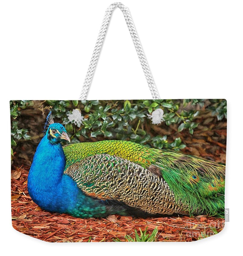 Peacock Weekender Tote Bag featuring the painting Peacock Colors by Deborah Benoit
