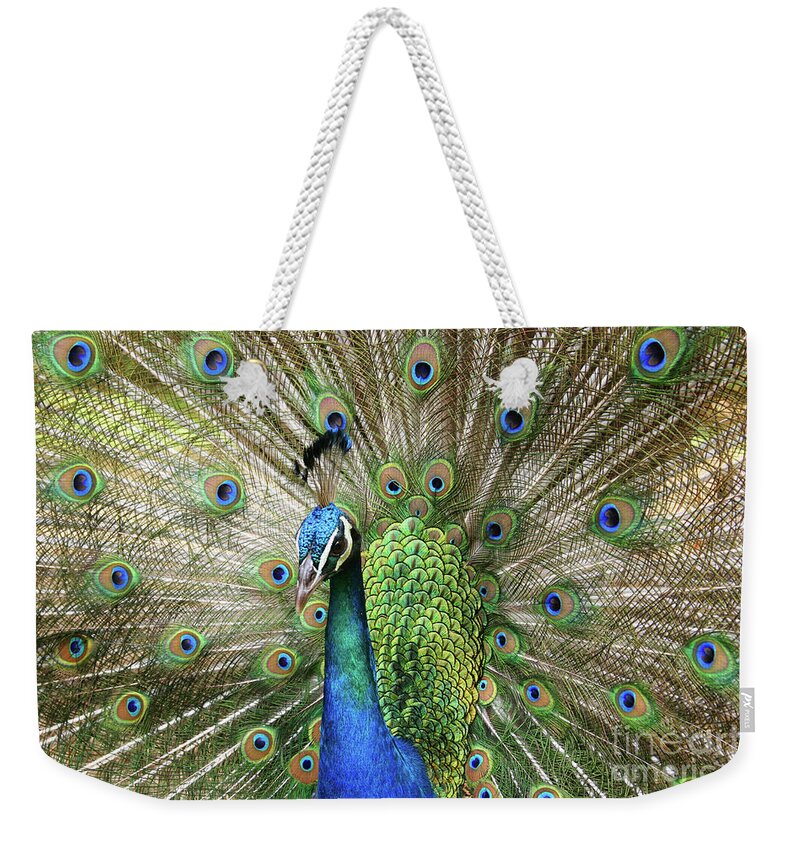 Peacock Weekender Tote Bag featuring the photograph Peacock Indian Blue by Sharon Mau