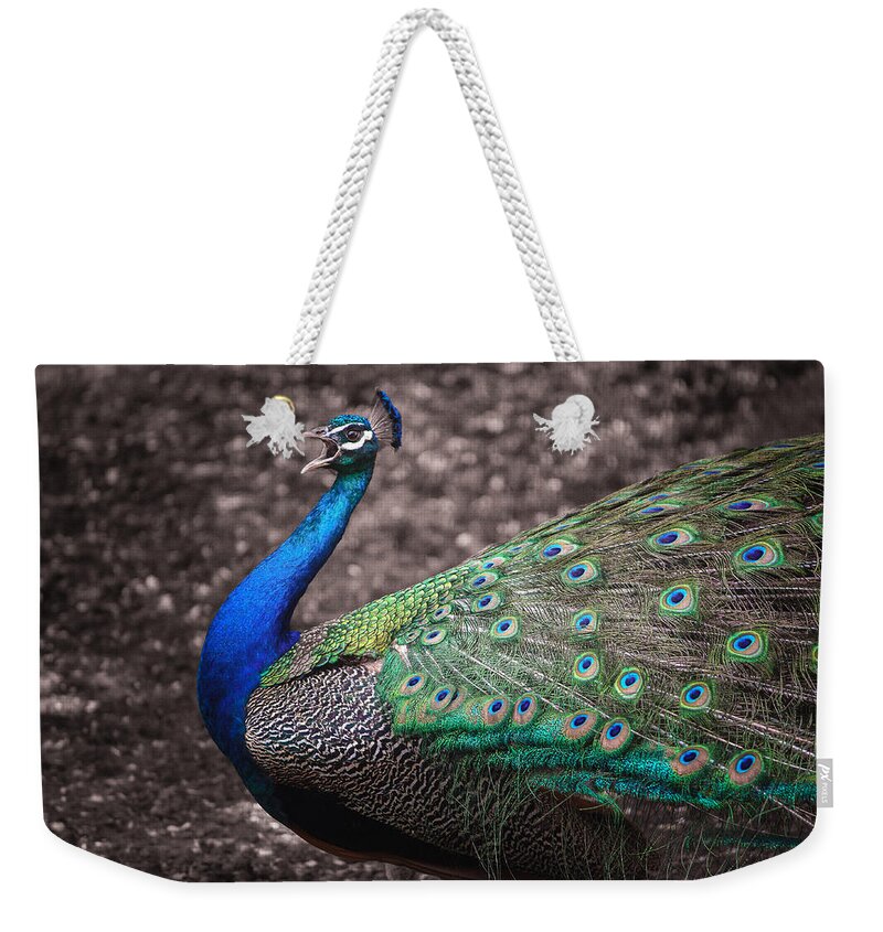 Cosley Weekender Tote Bag featuring the photograph Peacock Strut by Joni Eskridge