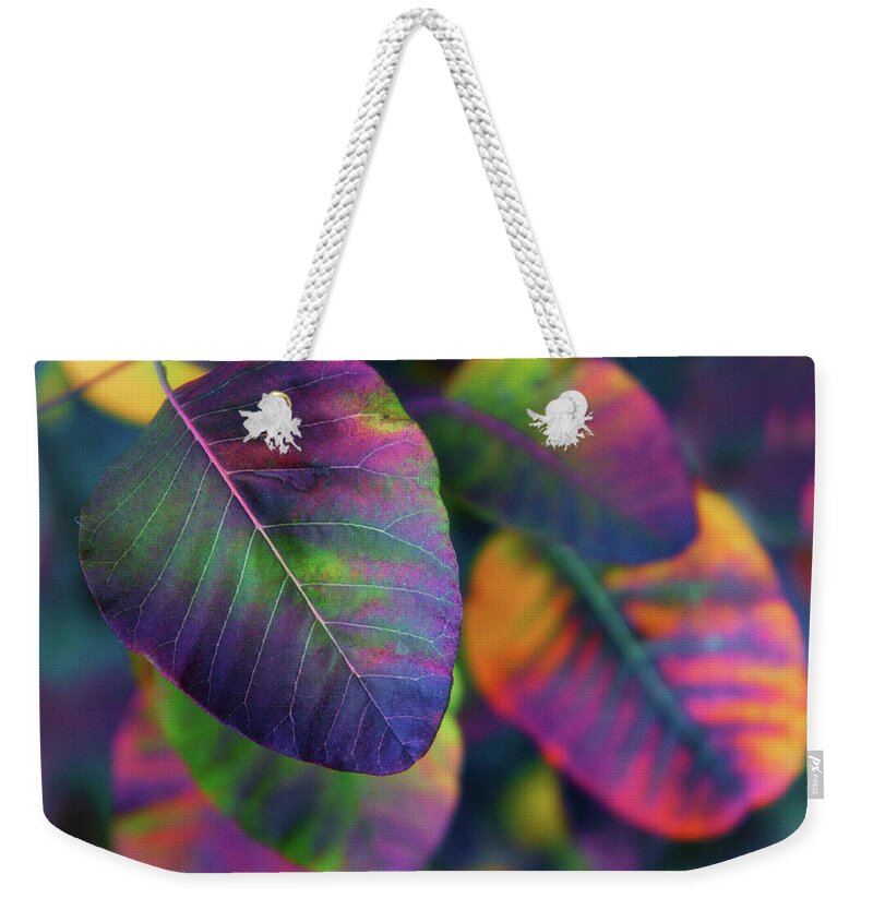 Leaves Weekender Tote Bag featuring the photograph Peak Foliage by Jessica Jenney