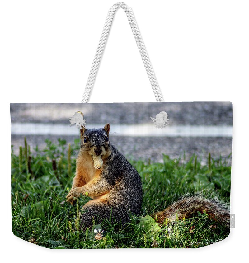 Brown Squirrel Weekender Tote Bag featuring the photograph Peanut by Joann Copeland-Paul