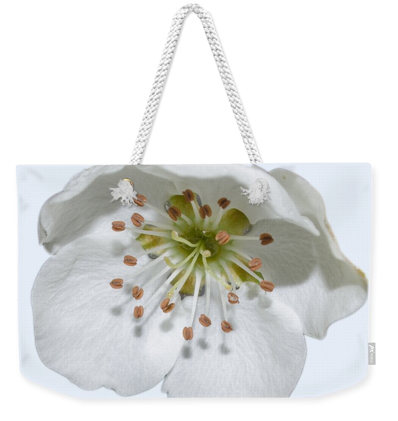 Flower Weekender Tote Bag featuring the photograph Pear Bloom Tee Shirt by Donna Brown