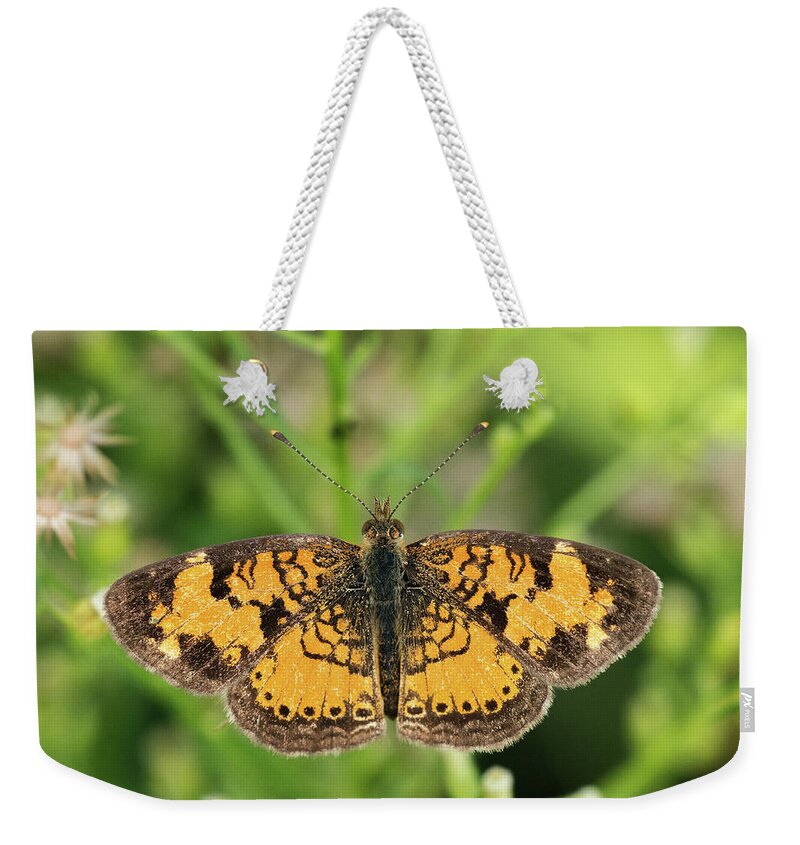 Pearl Crescent Weekender Tote Bag featuring the photograph Pearl Crescent by Jim Zablotny