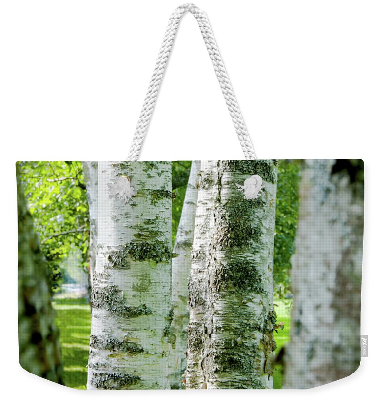 Cornish Weekender Tote Bag featuring the photograph Peek a boo Birch by Greg Fortier