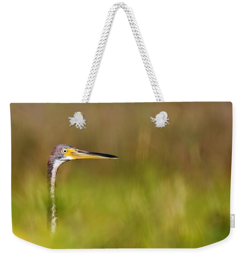 Heron Weekender Tote Bag featuring the photograph Peek-a-boo Birdie by Bob Decker