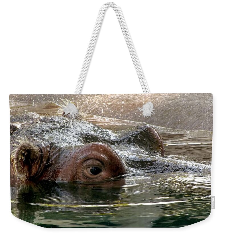 Hippo Weekender Tote Bag featuring the photograph Peek-a-Boo by Jennifer Wheatley Wolf