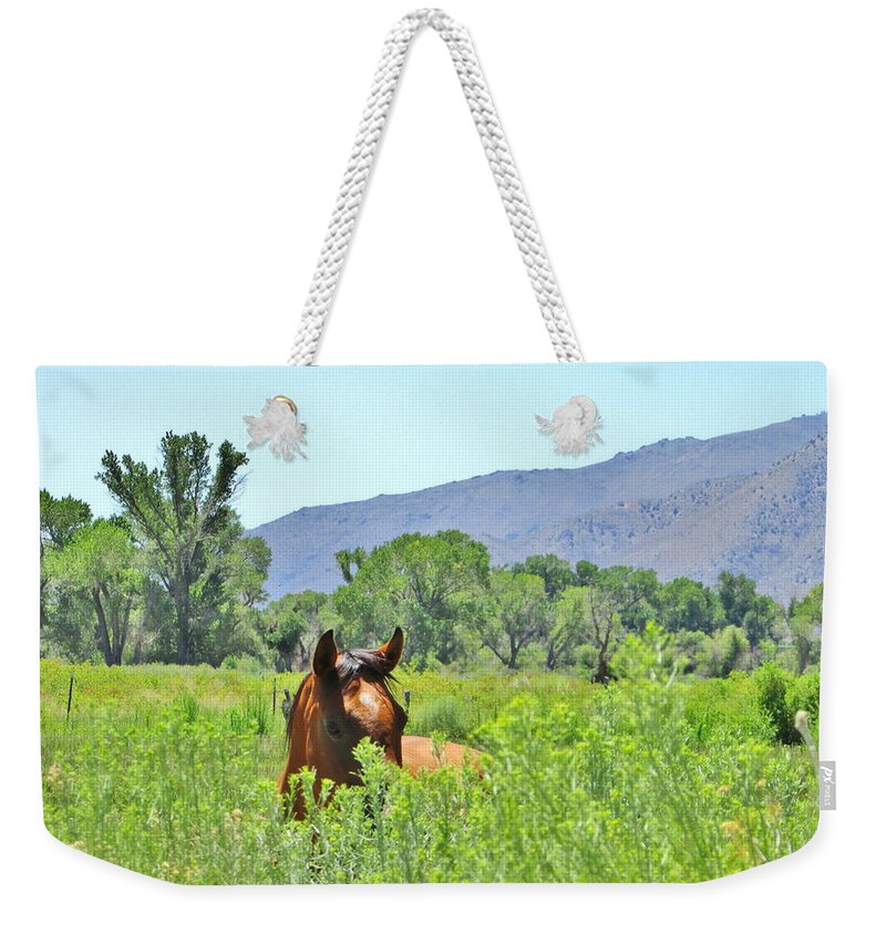 Sky Weekender Tote Bag featuring the photograph Peek a boo by Marilyn Diaz