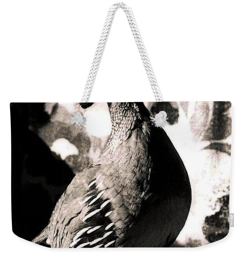 Nature Weekender Tote Bag featuring the photograph Peepsight the Quail by Christopher Plummer