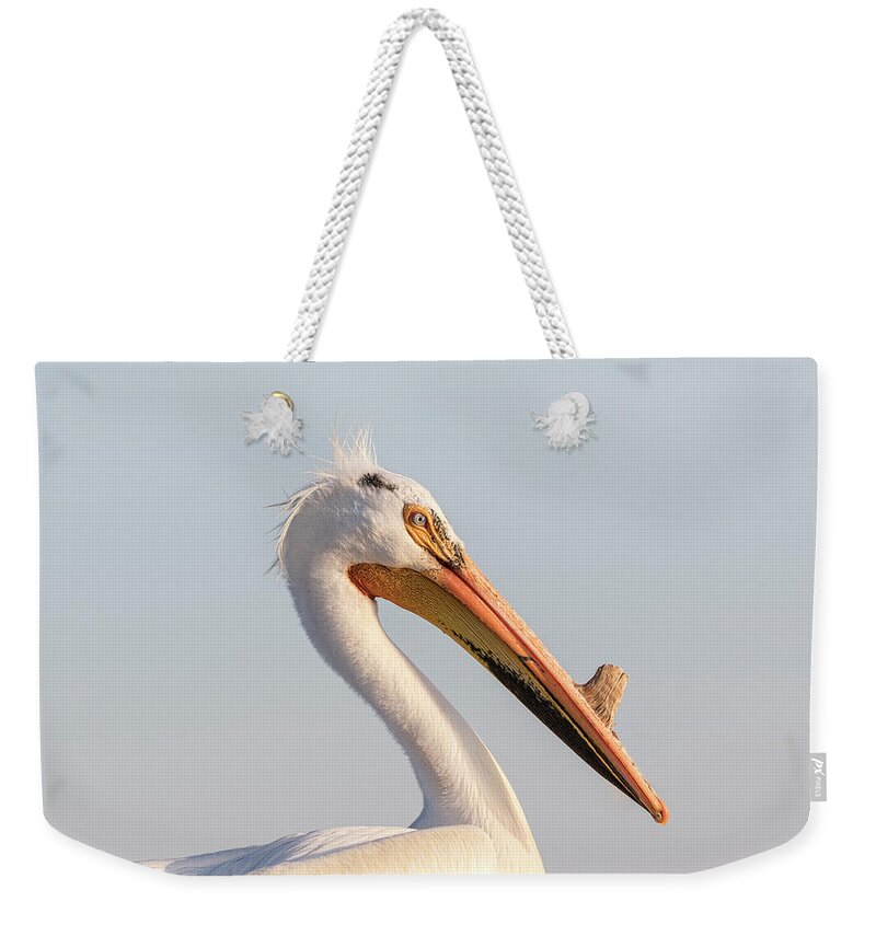 American White Pelican Weekender Tote Bag featuring the photograph Pelican 2017-2 by Thomas Young