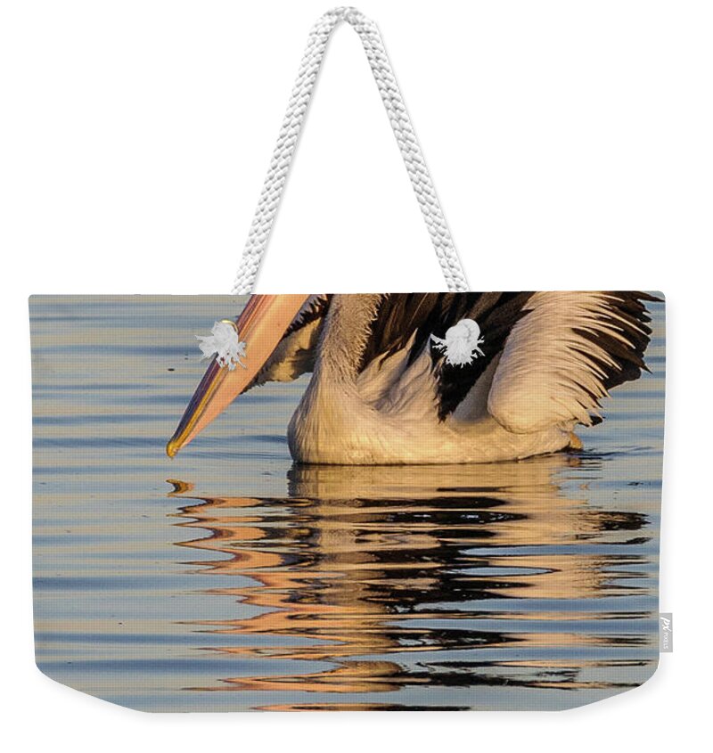 Bird Weekender Tote Bag featuring the photograph Pelican at Sunset 2 by Werner Padarin