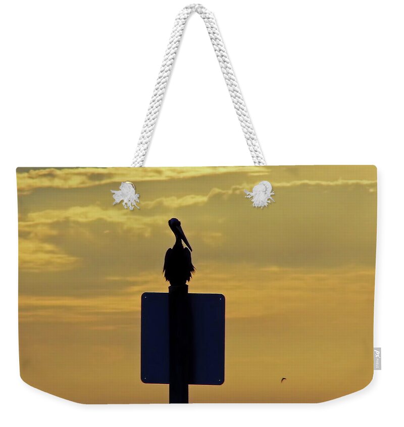 Sunset Weekender Tote Bag featuring the photograph Pelican At Sunset by D Hackett
