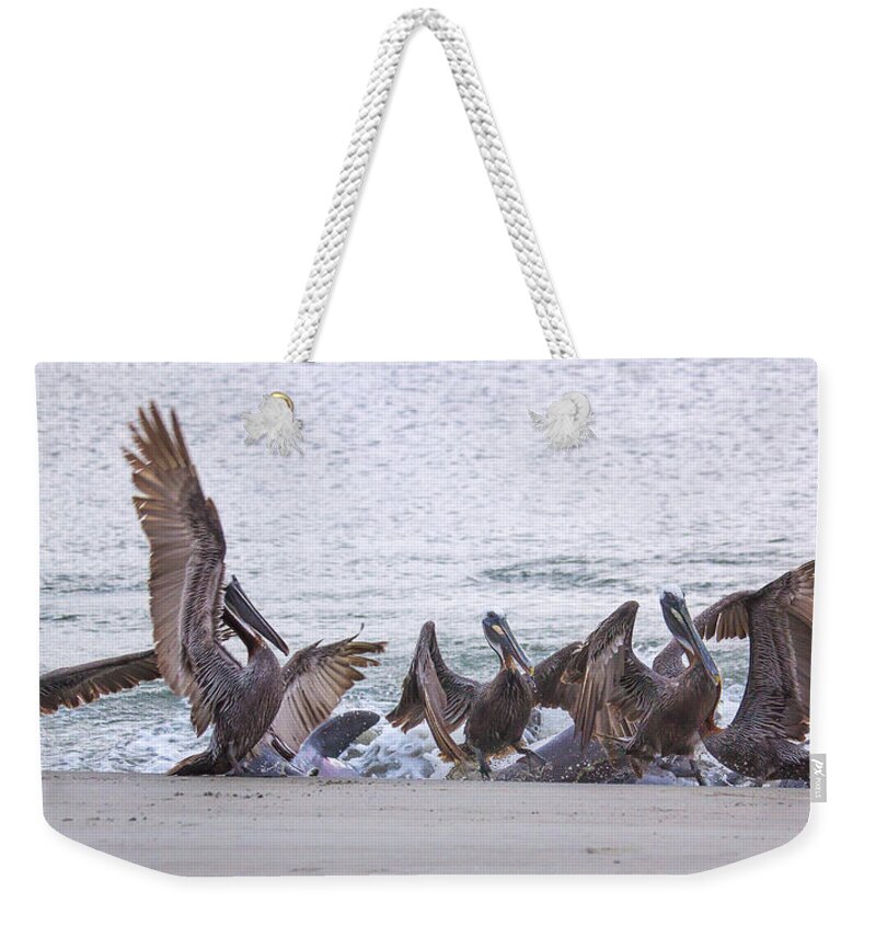 Pelican Weekender Tote Bag featuring the photograph Pelican Brunch by Patricia Schaefer