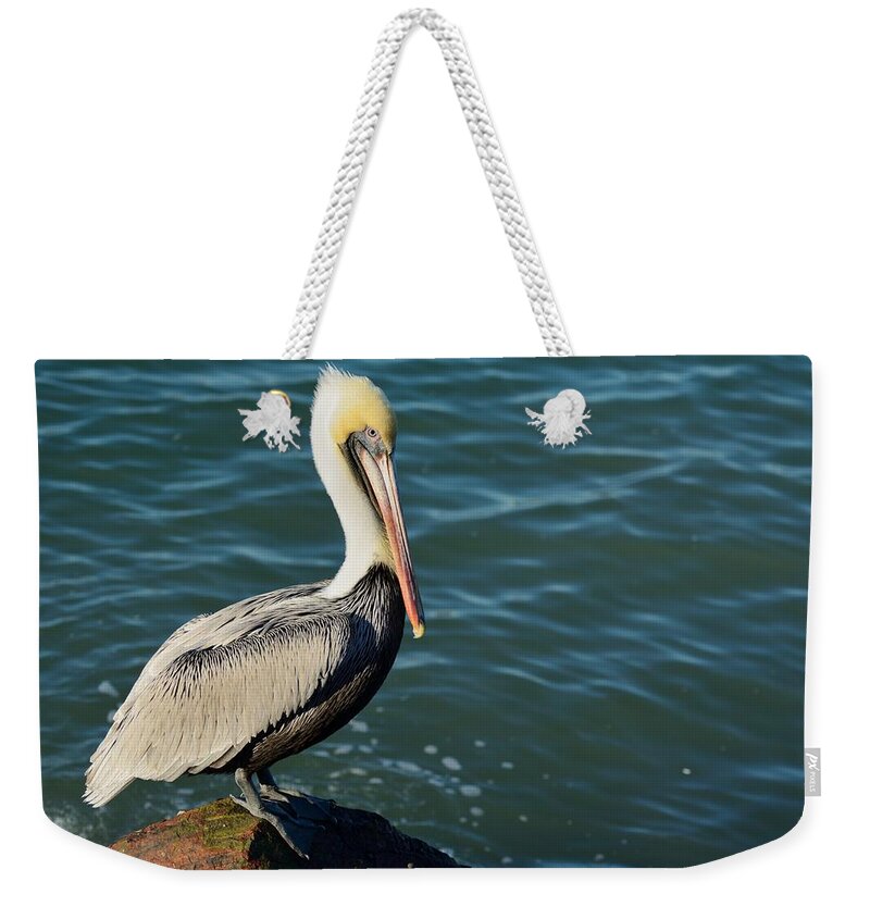 Pelican Weekender Tote Bag featuring the photograph Pelican on a rock by Bradford Martin