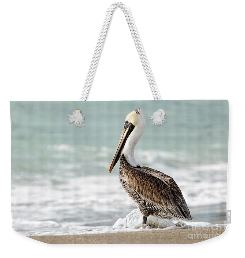 Florida Weekender Tote Bag featuring the photograph Pelican Waves by Karin Pinkham