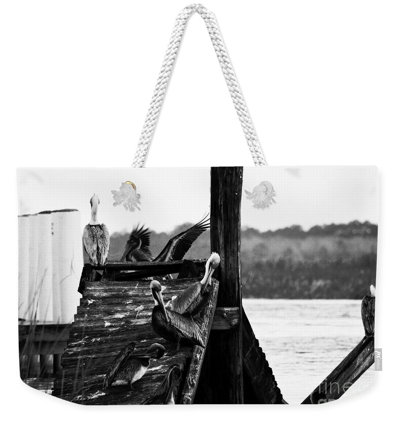 Apalachicola Weekender Tote Bag featuring the photograph Pelicans by Alys Caviness-Gober