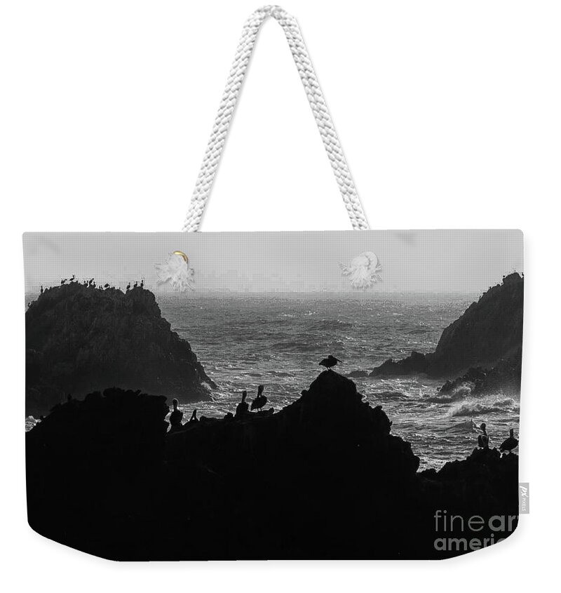 Shore Weekender Tote Bag featuring the photograph Pelicans Carmel by Barry Bohn