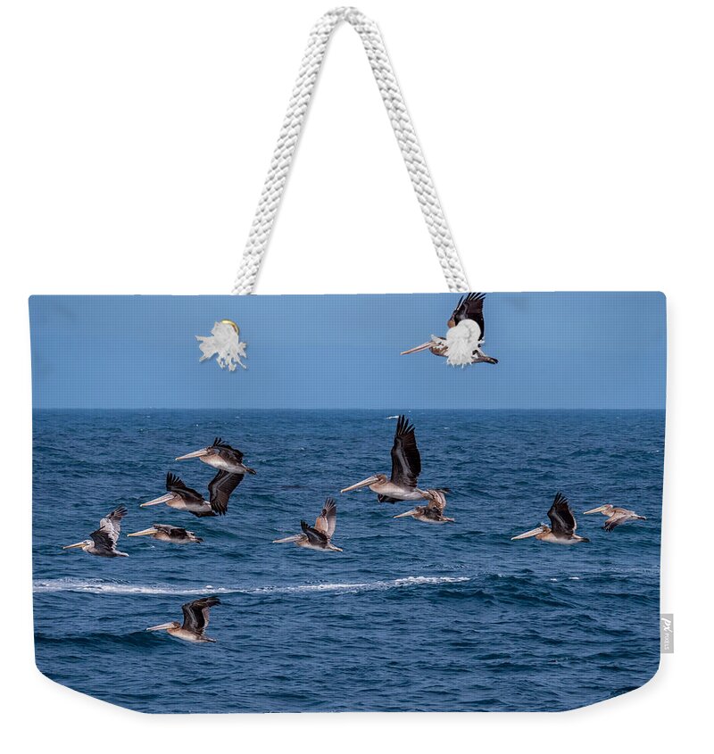 Pelicans Weekender Tote Bag featuring the photograph Pelicans Fly Over the Water by Derek Dean