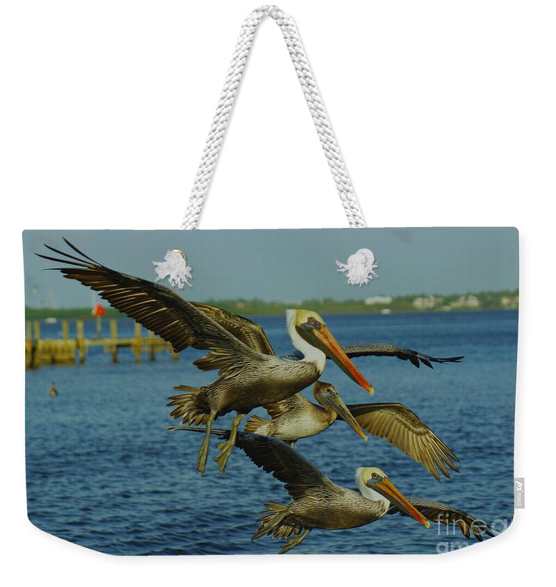 Bird Weekender Tote Bag featuring the photograph Pelicans Three Amigos by Larry Nieland