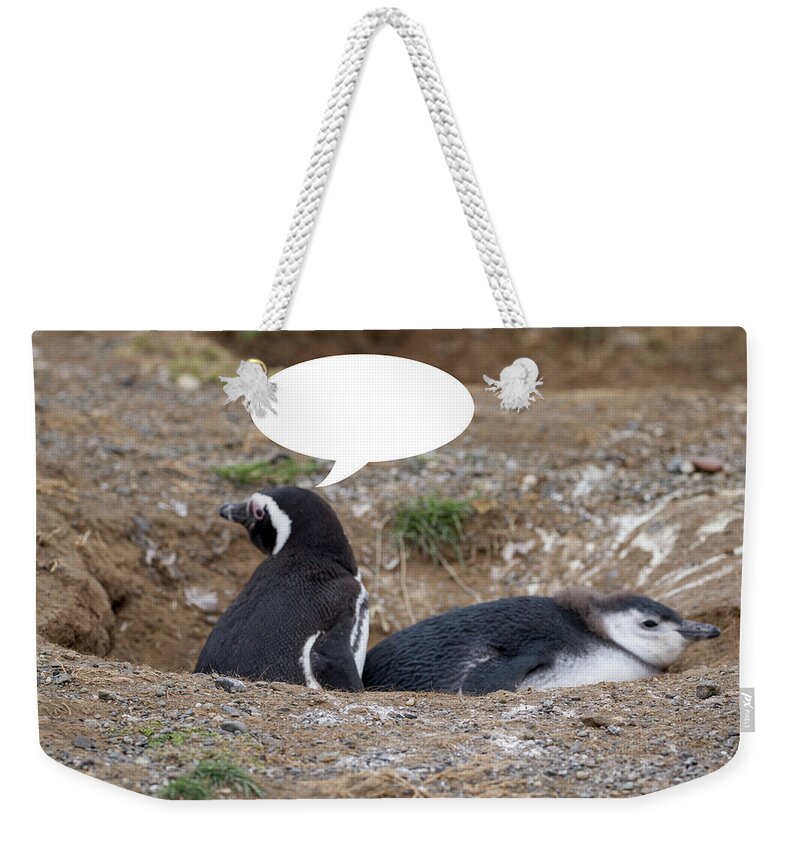 Penguins Weekender Tote Bag featuring the photograph Penguins are Funny 2 by John Haldane