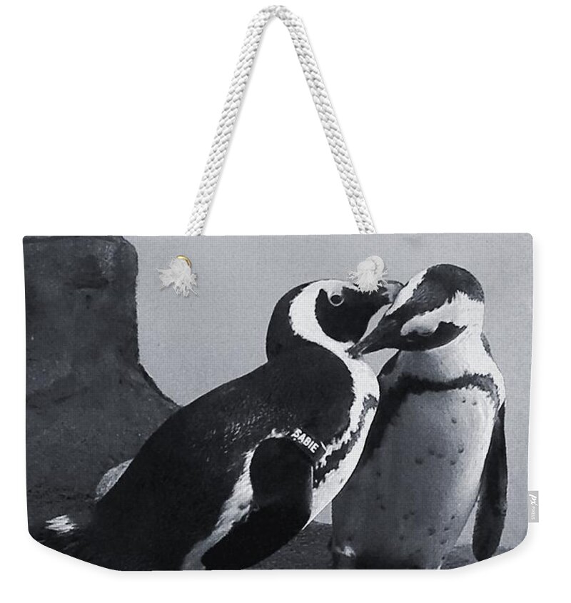 Penguins Weekender Tote Bag featuring the photograph Penguins by Sandy Taylor