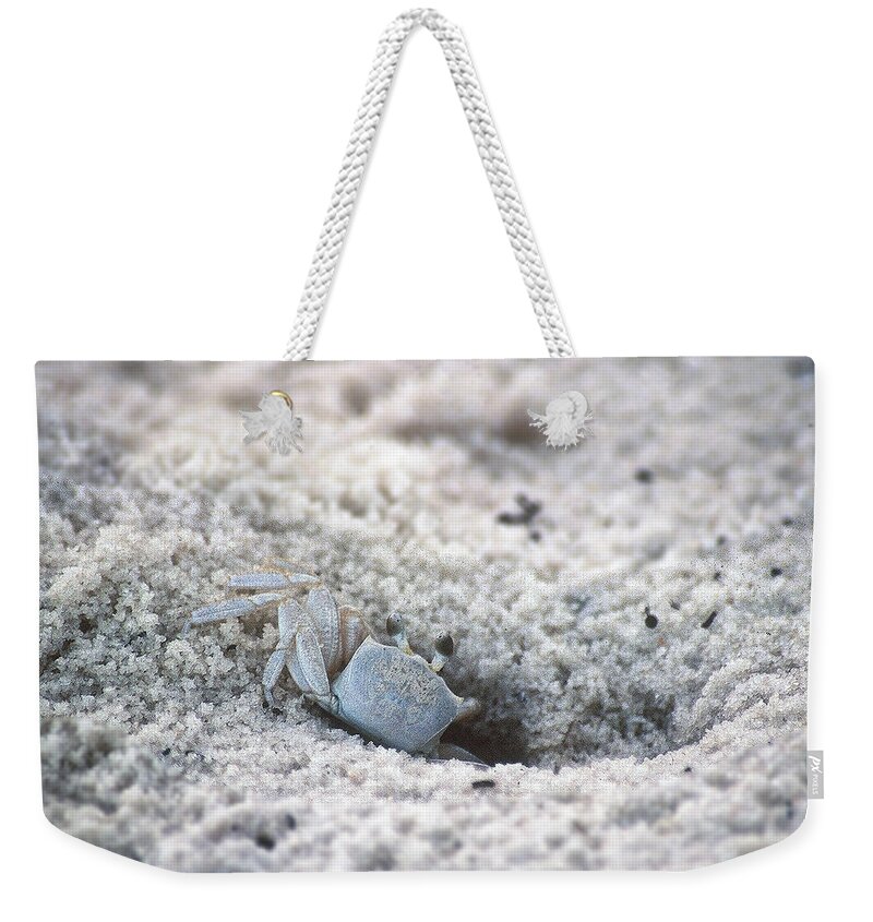 Florida Weekender Tote Bag featuring the photograph Pensacola Beach House by DArcy Evans