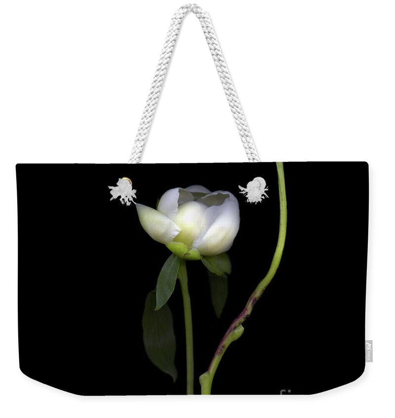 Peonies Weekender Tote Bag featuring the photograph Peonies by Christian Slanec