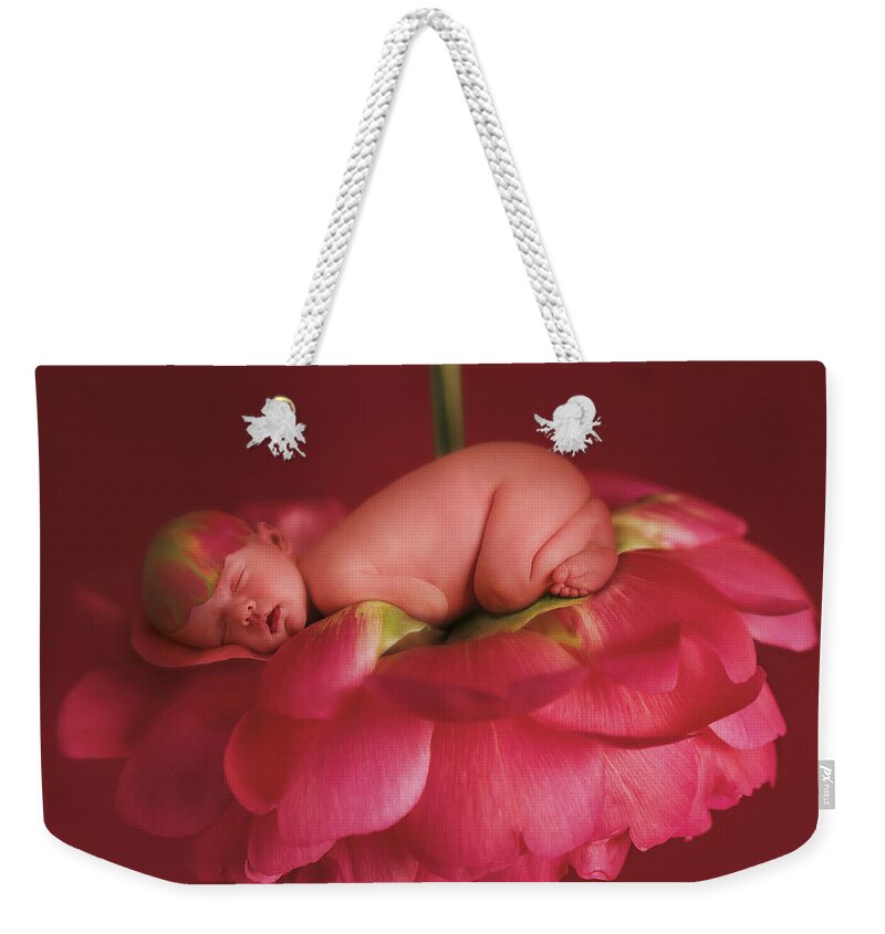 Pink Weekender Tote Bag featuring the photograph Chelsea on a Pink Peony Rose by Anne Geddes