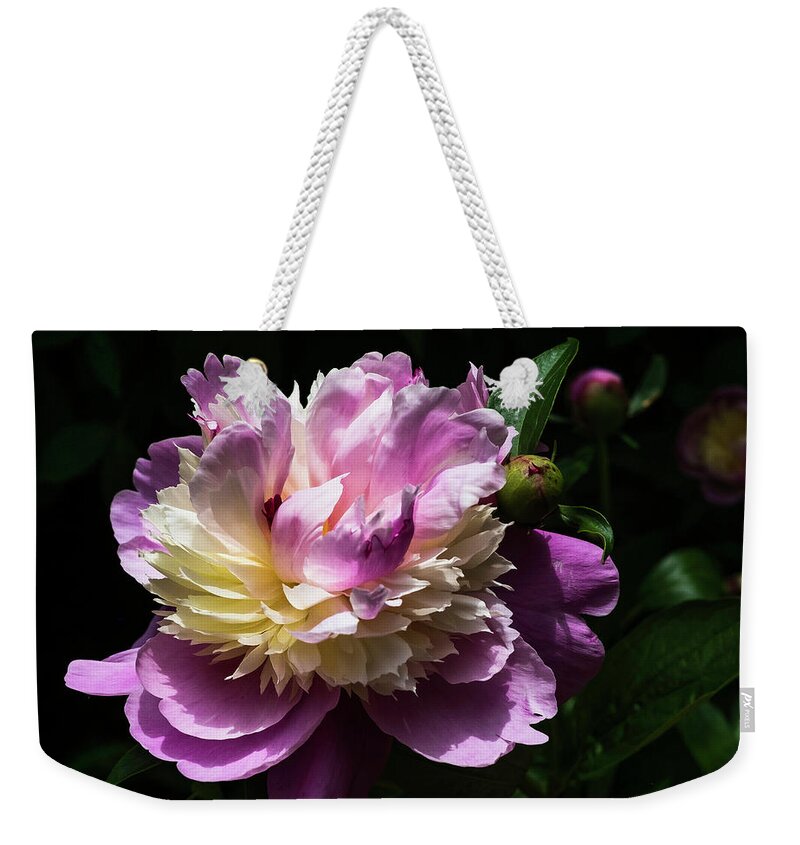 Spring Weekender Tote Bag featuring the photograph Peony in June by John Roach