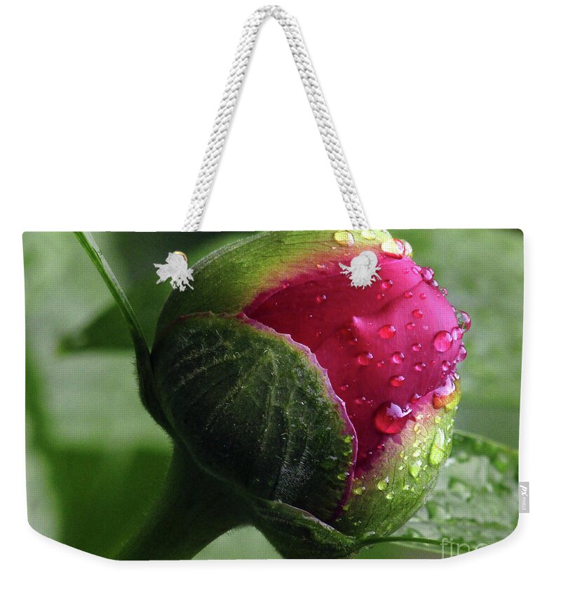 Peony Weekender Tote Bag featuring the photograph Peony Love 2 by Kim Tran