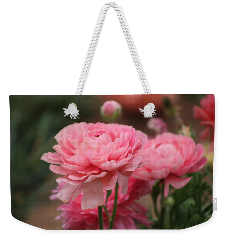 Pink Ranunculus Weekender Tote Bag featuring the photograph Peony Pink Ranunculus Closeup by Colleen Cornelius