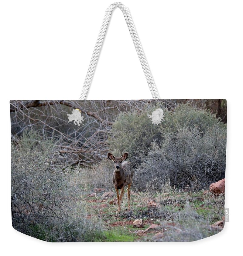 Deer Weekender Tote Bag featuring the photograph People Watching - 2 by Christy Pooschke