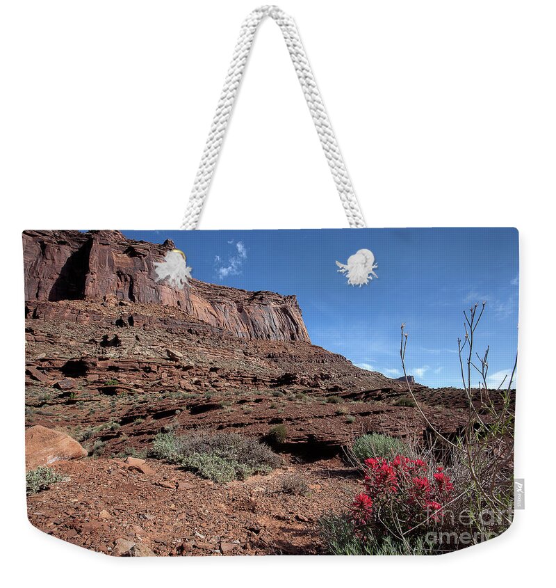 Utah Landscape Weekender Tote Bag featuring the photograph Peppermint Bluff by Jim Garrison