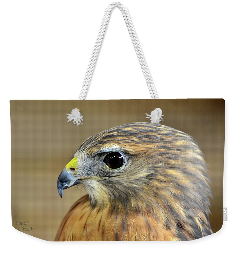 Peregrine Falcon Portrait Weekender Tote Bag featuring the photograph Peregrine Falcon Portrait by Sandi OReilly