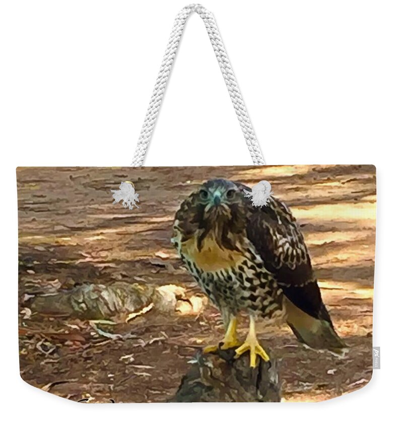 Peregrine Falcon Weekender Tote Bag featuring the photograph Peregrine Falcon Santa Maria Country Club by Floyd Snyder