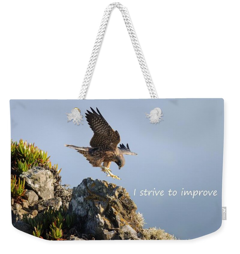  Weekender Tote Bag featuring the photograph Peregrine Falcon says I Strive to Improve by Sherry Clark
