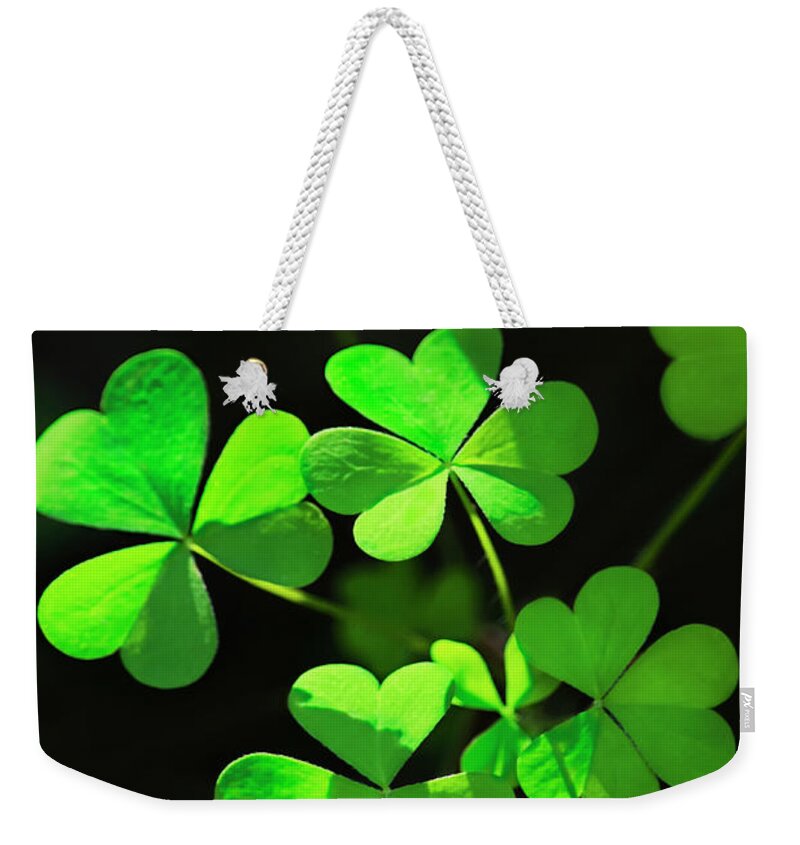 Clover Weekender Tote Bag featuring the photograph Perfect Green Shamrock Clovers by Christina Rollo