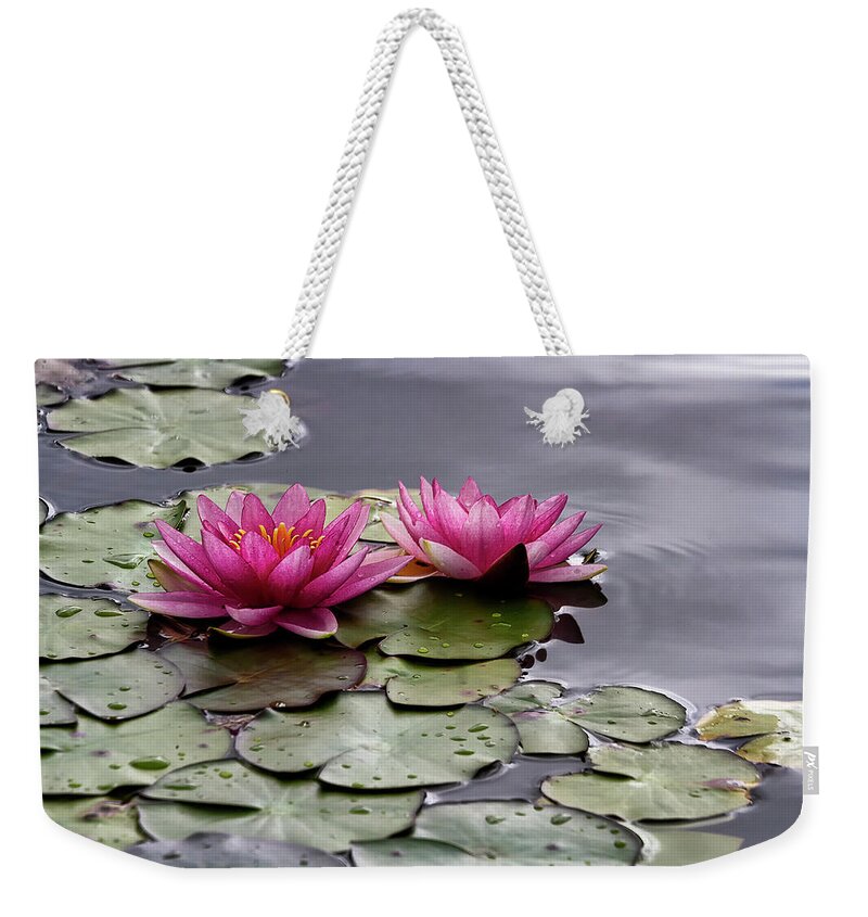 Pond Weekender Tote Bag featuring the photograph Perfect pinks by Shirley Mitchell