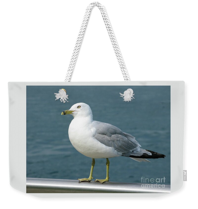 Seagull Weekender Tote Bag featuring the photograph Perfect Pose by Ann Horn